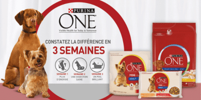 concours purina one