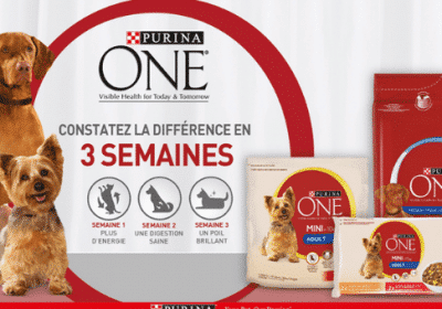 concours purina one