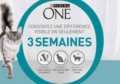 concours nestle purina one