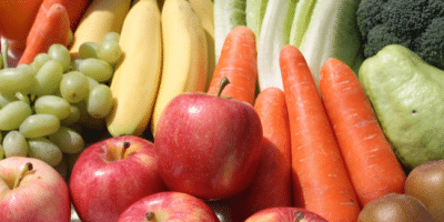 concours fruits legumes