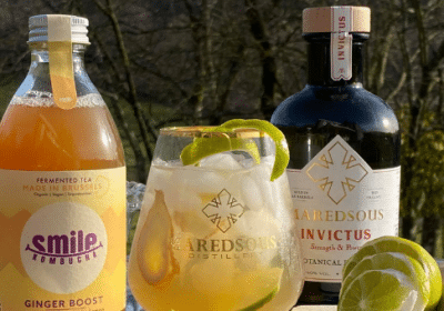 concours bouteilles gin ginger boost