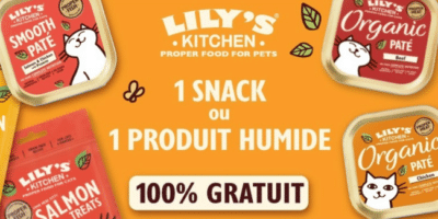 lilys kitchen gratuits chat